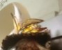 Benutzeravatar